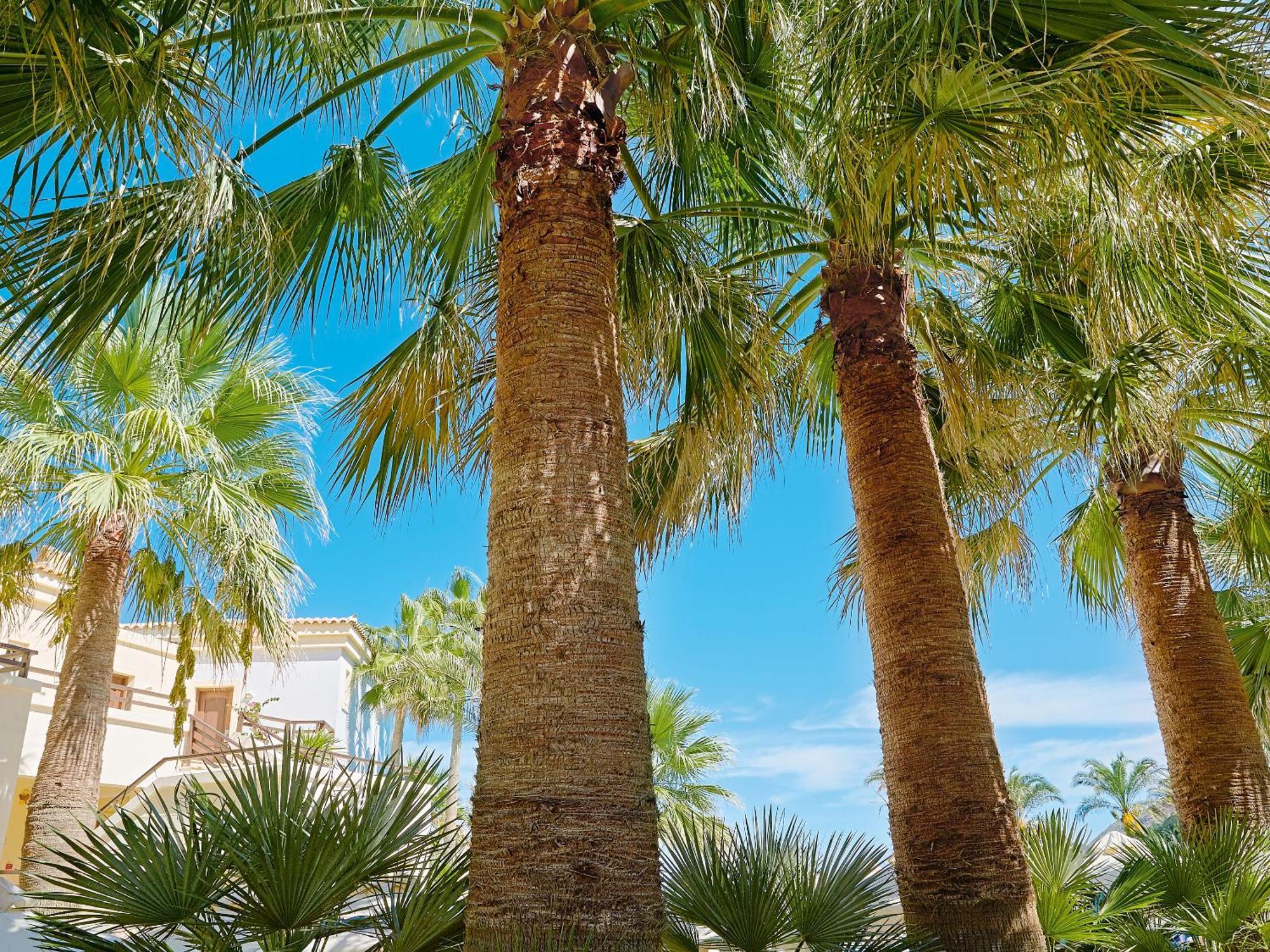 Grecotel Marine Palace & Aqua Park Rethymno  Ngoại thất bức ảnh